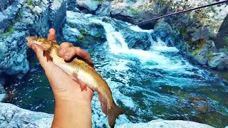 Рыбалка в горах. Мы снова на реке Баламбай.