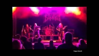 Intestinal Damage -  Campaign Of Vengeance