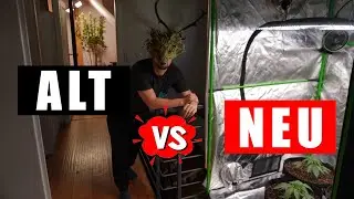 Abschied & Neuanfang - zwei Grows, zwei Geschichten