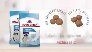 Royal Canin Giant Puppy/Junior eledelek - Óriás testű kölyök kutyák részére | Petissimo