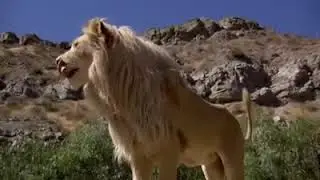3 min à couper le souffle!