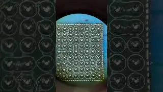 Сравнение паяльных паст: какая лучше для работы с чипами?