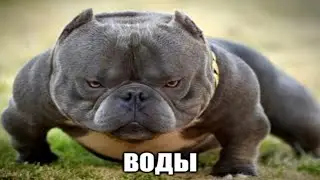 воды