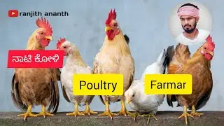 Poultry farm | ನಾಟಿ ಕೋಳಿ |