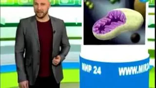 Секрет китайских ученых