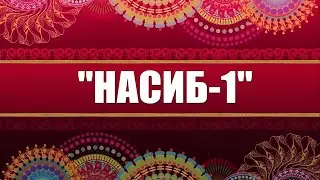 НАСИБ 1