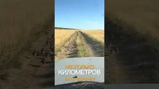 Чтоб не задавить семейство куропаток пришлось ехать очень медленно #путешествия