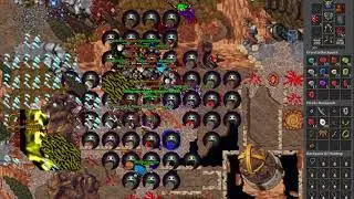 Raph the Awesome (526) [Elite Knight] - Magera