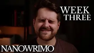 NaNoWriMo Week 3 Update & The Final Writing Push!
