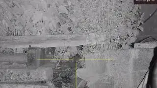 farmyard ratting part40