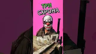 Схрон в Dayz | Дейз гайд #дейз #dayz #dayzгайд