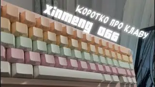 Xinmeng a66 | лучшая клава за 80$