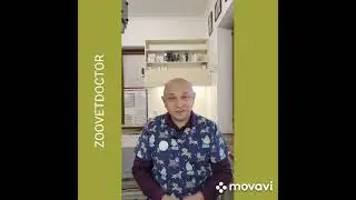 Миф о глистах @Zoovetdoctor