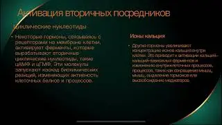 Абдрахманова Тамирис Зейнегалиевна 21ф-02д 3курс - Механизм действие гормонов