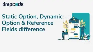 Static Option, Dynamic Option & Reference fields difference
