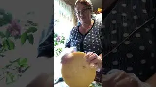 Сыр с овощами
