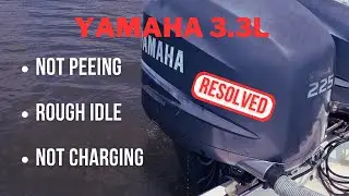 Yamaha 3.3L F225, Rough idle, not charging, not peeing - Marine Tech Vlog#3