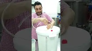 Köpüren bira için hortum kullanımı