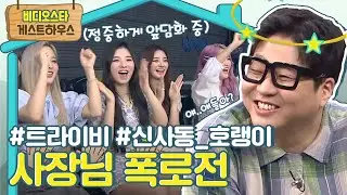할 말은 한다! 속시원하게 앞담화 하는(?) 신사동호랭이 & 트라이비 모아보기 l 
