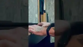 23 марта 2024 г.