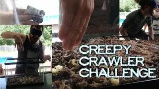 Hilarious Creepy Crawlers Blindfold Challenge