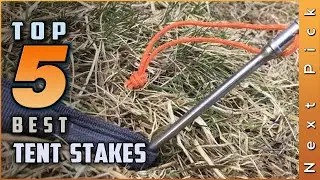 Top 5 Best Tent Stakes Review In 2023 | Make Your Selection