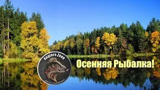 Классная осенняя рыбалка! Anglers Zone