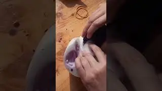 Щупальца из воска для свечи