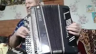 Васильки.