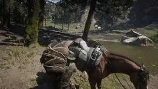 Red Dead Redemption 2_2024