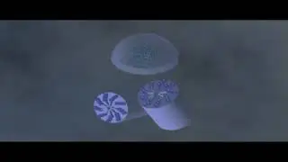 Cytoskeleton Microtubules