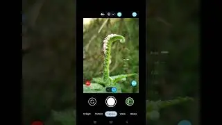 LMC 8.4 Macro Click || Wait For Final Result... #gcam #shorts