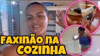Minha cozinha tava imunda 🤮🤮- Banho nos dogs 🐶