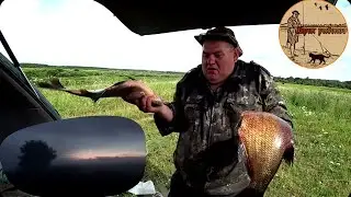 ЕДУ ЗА ТРОФЕЙНЫМ ЛЕЩЁМ НА РЕКУ С БЫСТРЫМ ТЕЧЕНИЕМ.РЫБАЛКА НА ДОНКИ.fishing,bushcraft,nature,camping.
