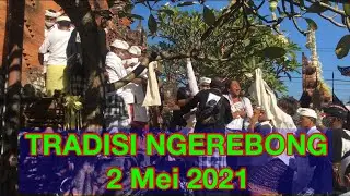 TRADISI NGEREBONG DESA ADAT PAKRAMAN KESIMAN (2 MEI 2021)