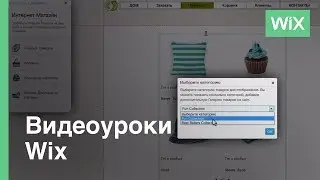 Как создать Интернет-магазин | Wix.com