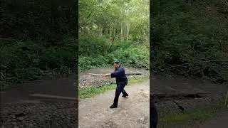 Цзю сюань лун мэнь пай. Лун мэнь гунь фа. Ши лю ба гунь. Дань ши.