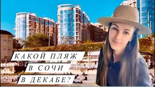 Что в Сочи в декабре 🤔🤗🏝️