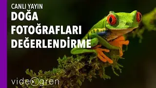 Doğa Fotoğrafları Değerlendirmesi