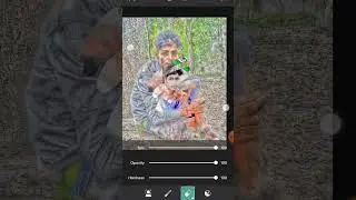 15 august 