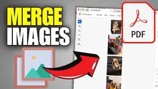 How To Merge Multiple Images Into One PDF (2025)