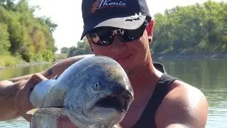 GRIMES RESORT ..CALIF.. KING SALMON !   ...... 8-17-14