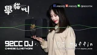 2018慢搖Tik Tok《超好聽》學貓叫 V3 (新的旋律) X 疑心病 & Gucci Prada | DJ Muffin Private Mix | 92CCDJ Release