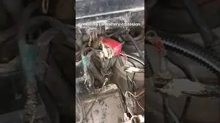 satisfying way to remove  car battery corrosion #shortvideo