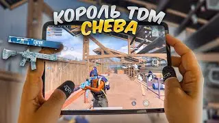 КОРОЛЬ TDM CHEBA