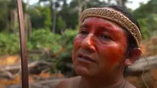 Amazon Jungle Ka Rahasya Hindi Mein | Amazon Rainforest Forest Video Hindi Brazilian Kawahiva tribe