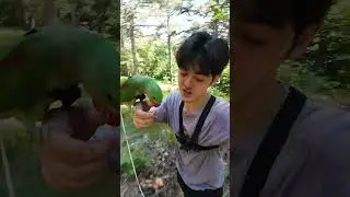 Kuşumu Ormana Götürdüm