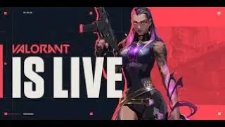 Aujourd'hui c'est valorant #1