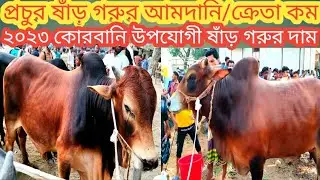 @বুধবার ৩/৫/প্রচুর ষাঁড় গরুর আমদানি,তীব্র গরমে ক্রেতা কম/বিখ্যাত হাটে ষাঁড় গরুর দাম/cow market 2023