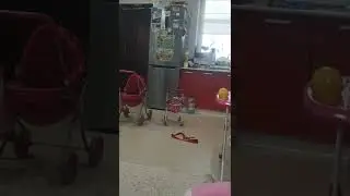 Ловлю пузырьки)